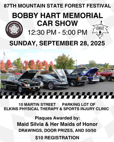 Car Show 2025 Flyer